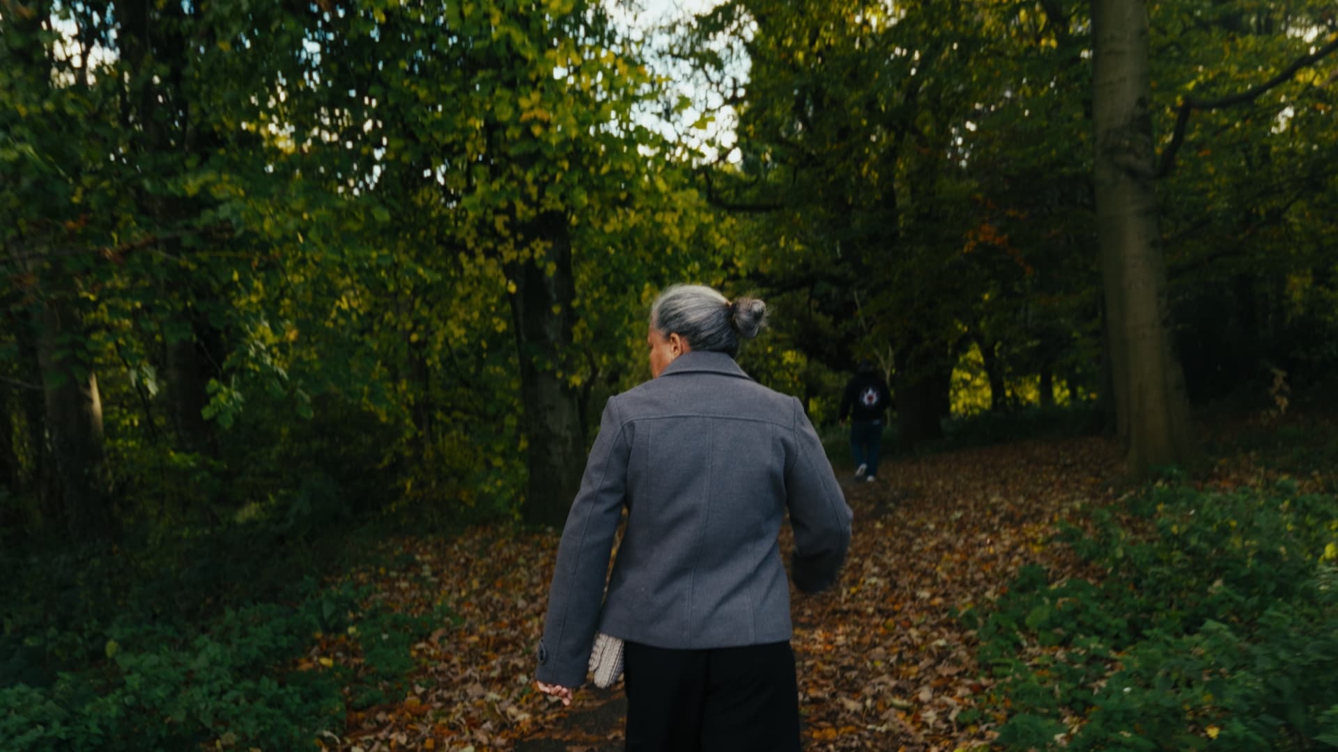 imagem demonstrativa