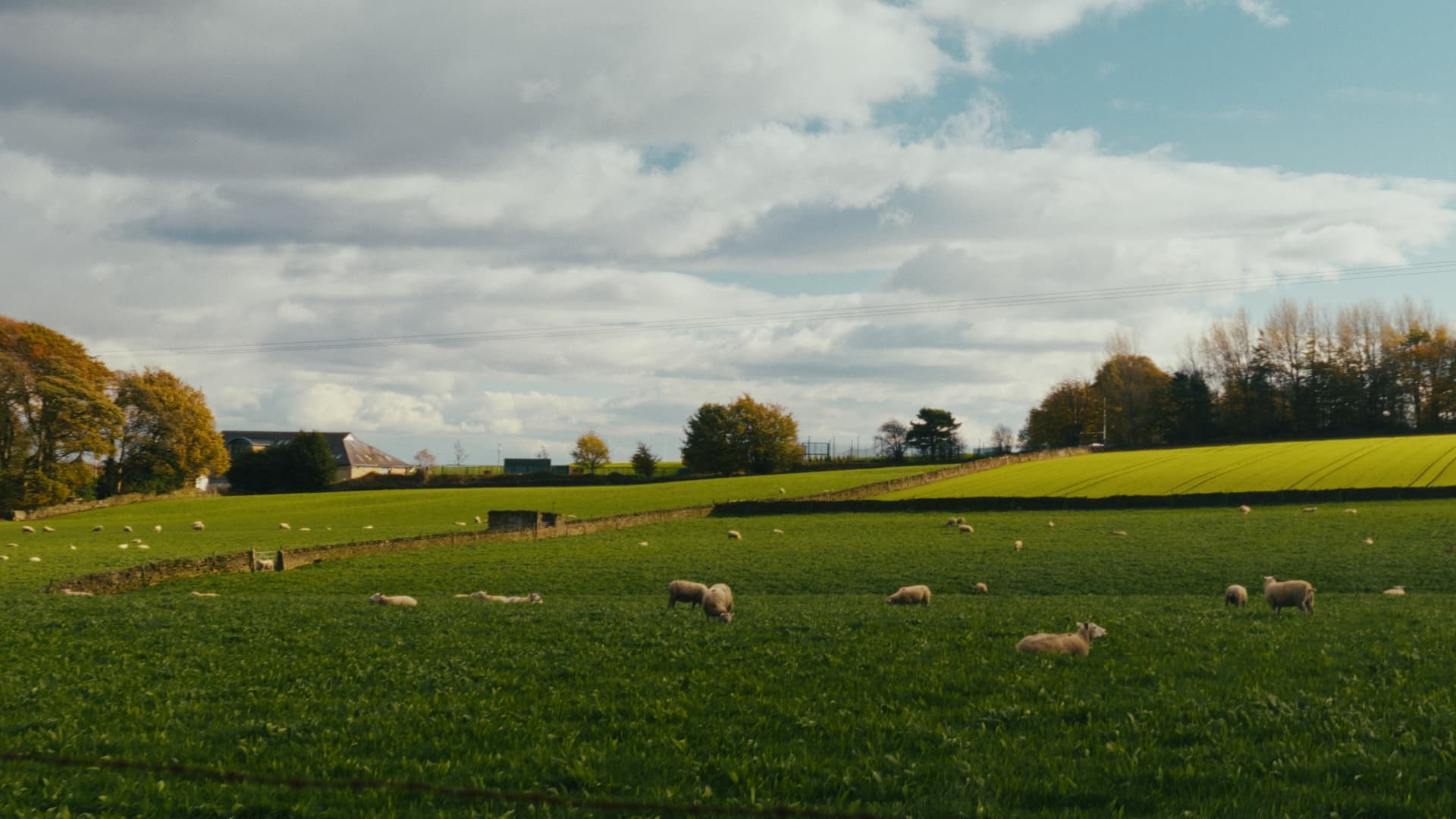 imagem demonstrativa